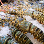 How to cook lobster from frozen?